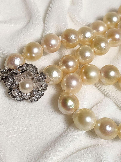 Kuro Teri Strong 7.2mm orange pink Akoya pearl necklace on 44cm silver SV925 chain