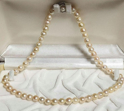 Kuro Teri Strong 7.2mm orange pink Akoya pearl necklace on 44cm silver SV925 chain
