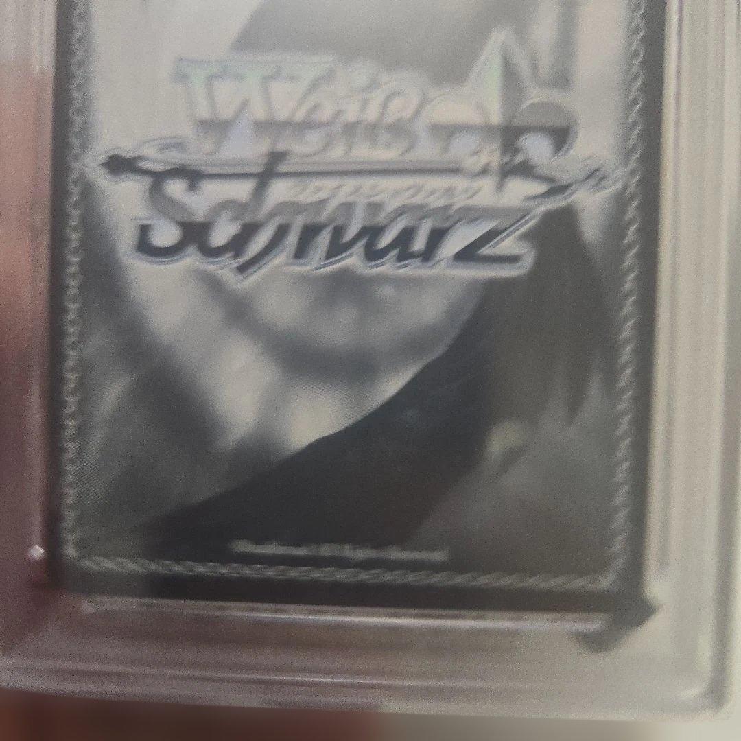 PSA 10 Together Toward the Future Luna Hoshimori Signature — Japanese