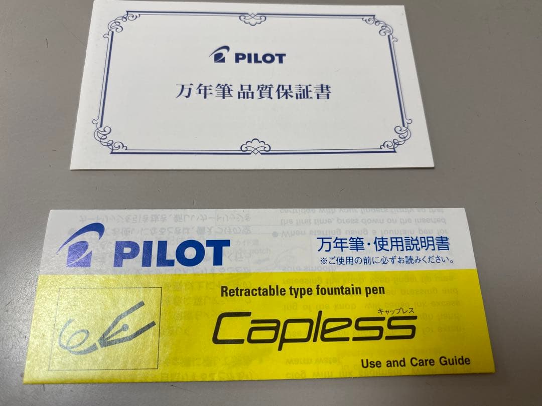 Pilot Fountain Pen Gray FCT-15SR-GYF Capless with fine nib and click mechanism in black
