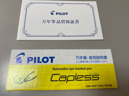 Pilot Fountain Pen Gray FCT-15SR-GYF Capless with fine nib and click mechanism in black