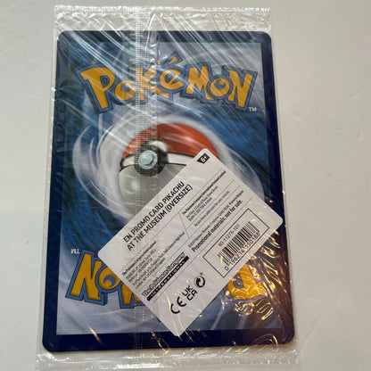 Pokemon Pikachu at the Museum — Japanese