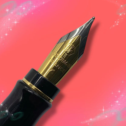 Waterman Expert Essential fountain pen with fine nib in black and gold, displayed with box and replacement cartridge