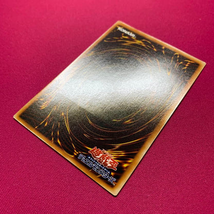 Yu-Gi-Oh The Forbidden Goddess Ruin Pack — Japanese