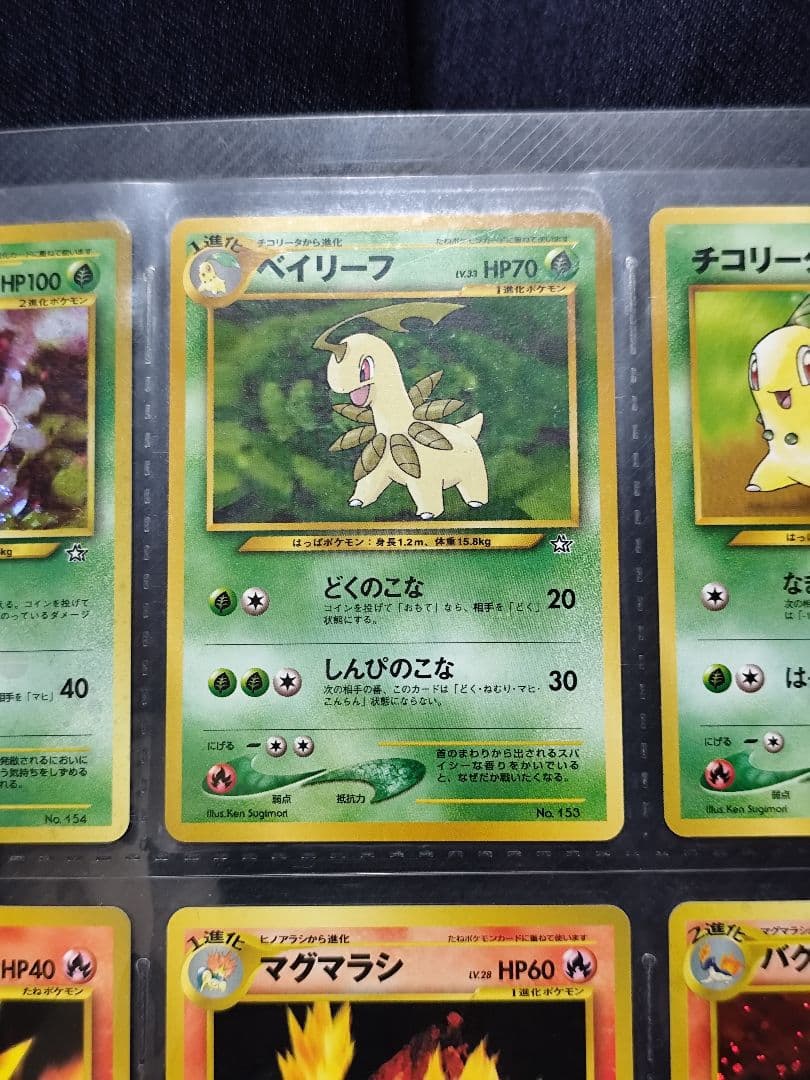 Pokemon Pokémon Card NEO Premium File Gold and Silver New World — Japanese