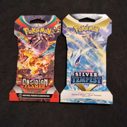 Pokemon Pokémon Card Overseas Pack Wholesale Collection Pack — Japanese