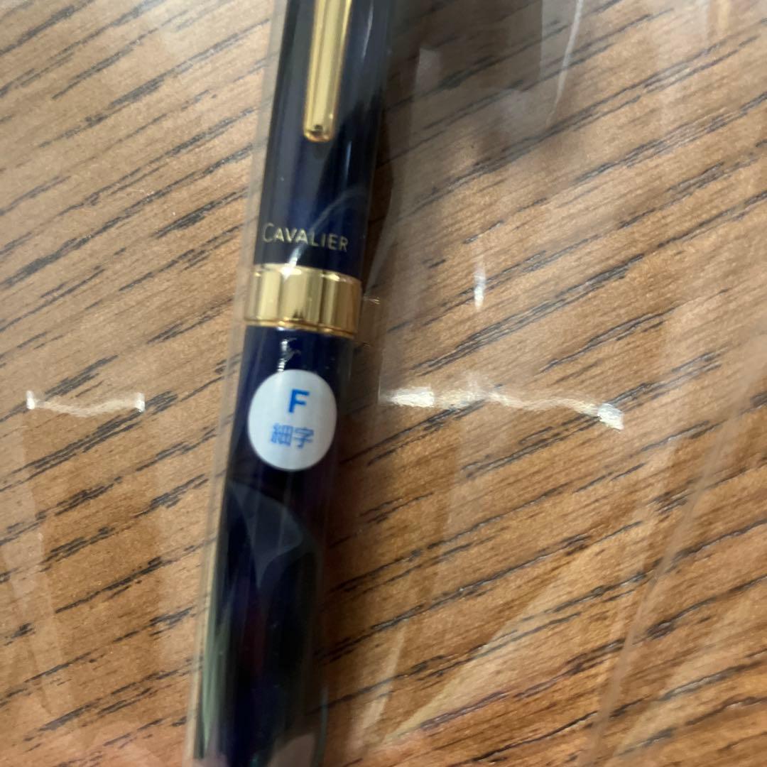New Pilot Fountain Pen Cavaliar fine point in black and blue with sleek design
