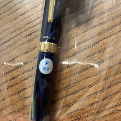 New Pilot Fountain Pen Cavaliar fine point in black and blue with sleek design