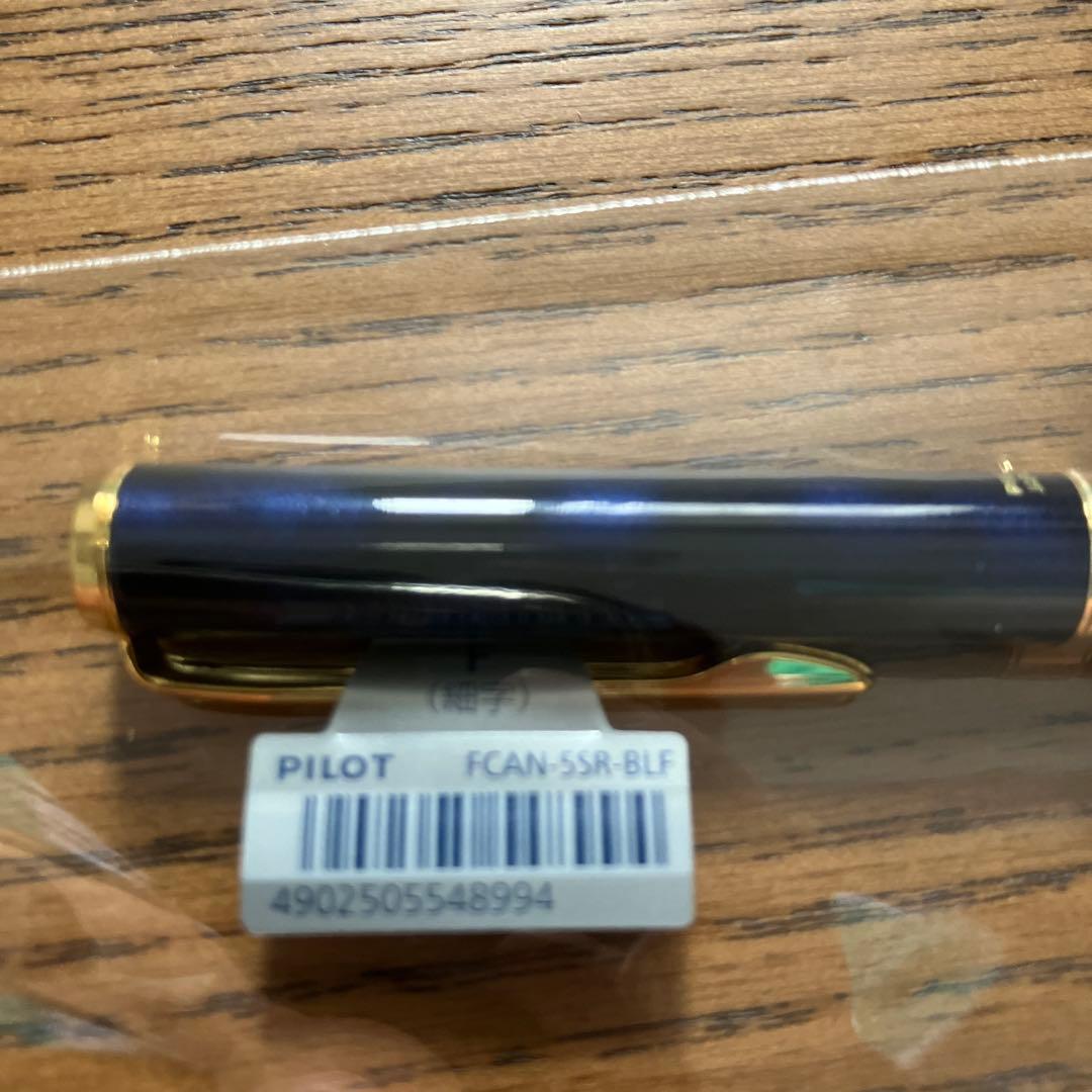 New Pilot Fountain Pen Cavaliar fine point in black and blue with sleek design