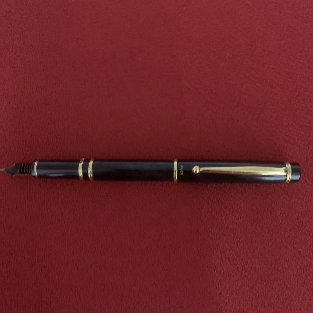 Pilot fountain pen with sleek black barrel and silver accents displayed on a white background