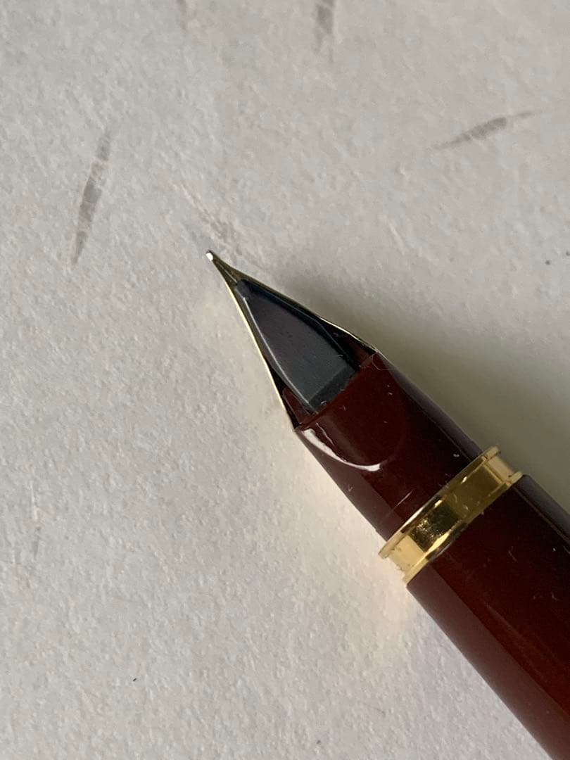PILOT DELUXE fountain pen in Bordeaux with 14K fine nib shown from side on white background