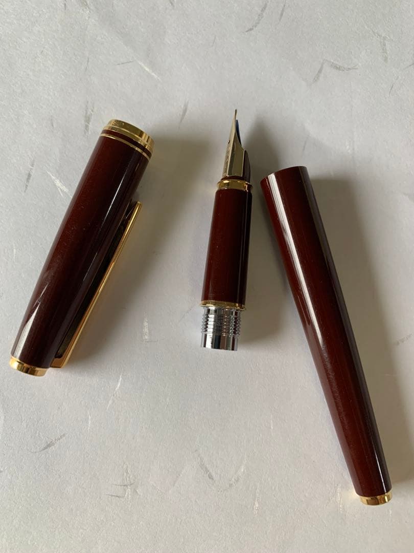 PILOT DELUXE fountain pen in Bordeaux with 14K fine nib shown from side on white background