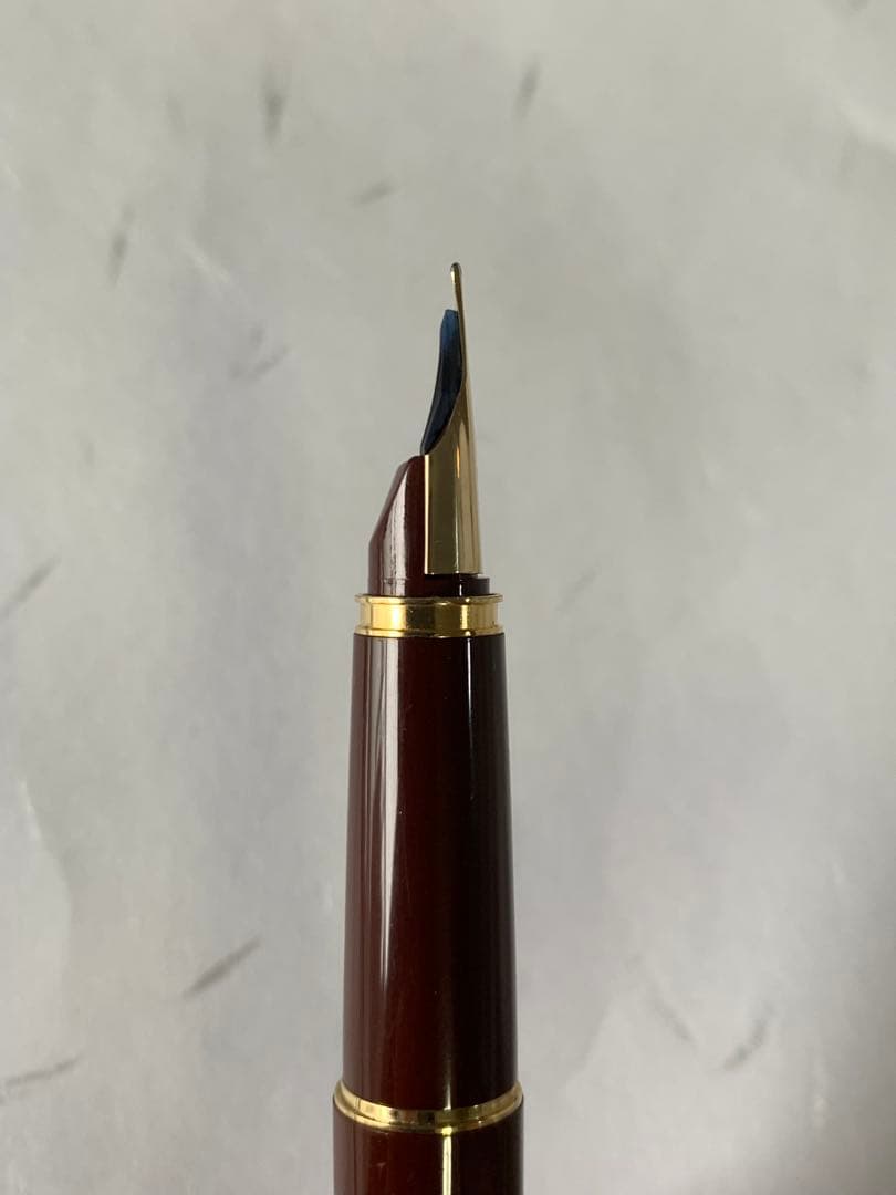 PILOT DELUXE fountain pen in Bordeaux with 14K fine nib shown from side on white background