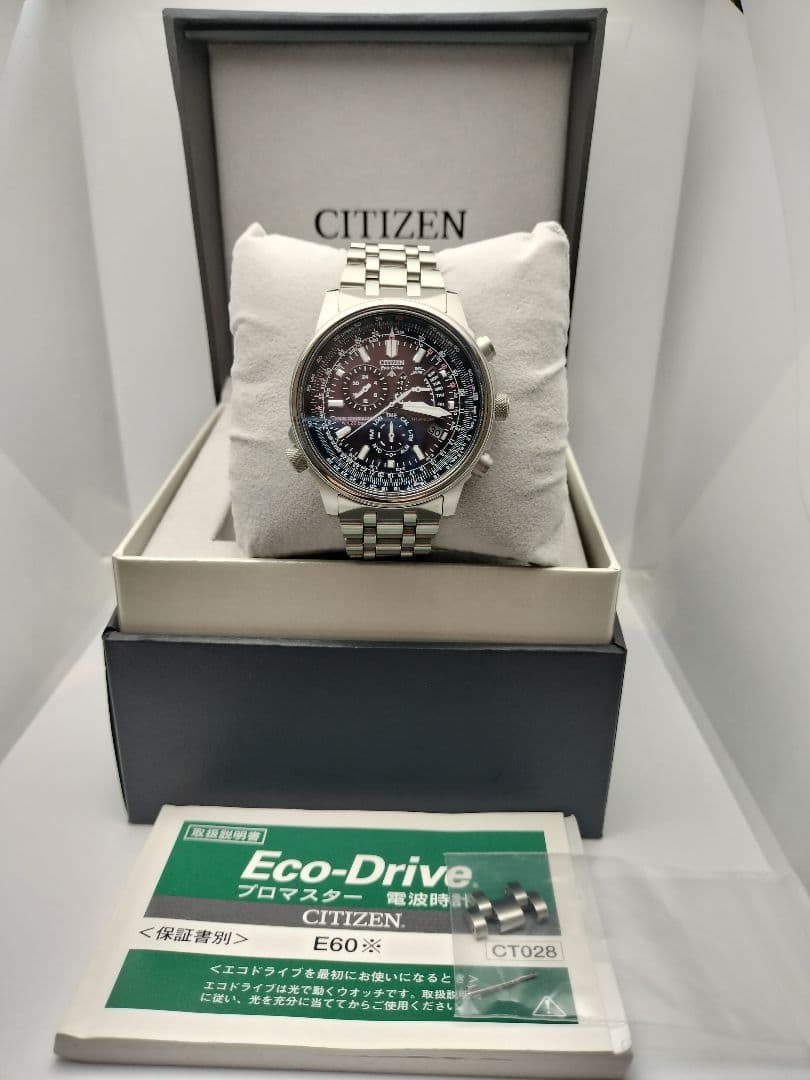 Citizen ProMaster E600 Solar Men's Watch — Japanese