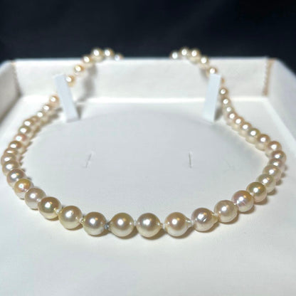 Akoya pearl semi-long necklace with round 6.6-7.0mm white pearls and silver coil clasp, 46cm length