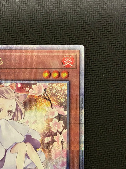 Yu-Gi-Oh Ash Blossom & Joyous Spring QCAC — QCAC-JP050 — Japanese