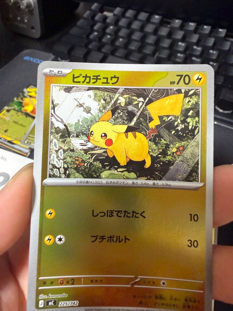 Pokemon Pikachu Box — Japanese
