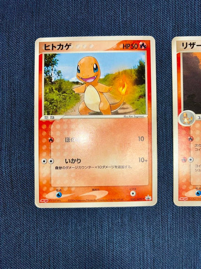 Pokemon Charizard — Japanese