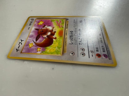 Pokemon Eevee — Japanese