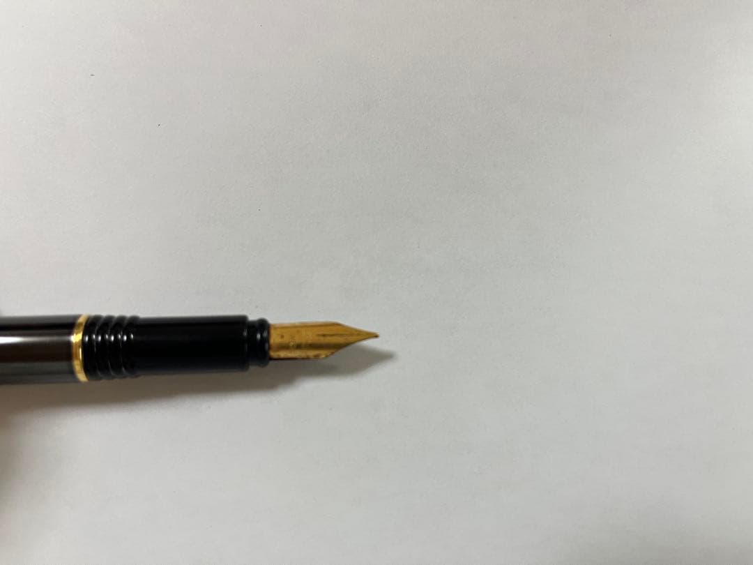 Vintage Waterman fountain pen shown with its protective case on a white background