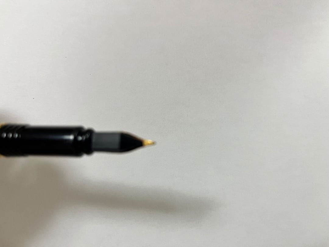 Vintage Waterman fountain pen shown with its protective case on a white background