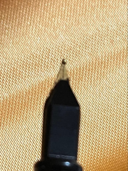 Vintage Waterman fountain pen shown with its protective case on a white background