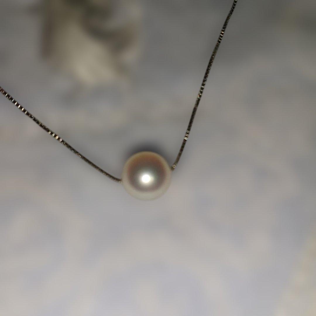 Ise-Shima Akoya single pearl necklace 8.5-9mm on 44.5cm SV925 Venetian chain with through pin clasp