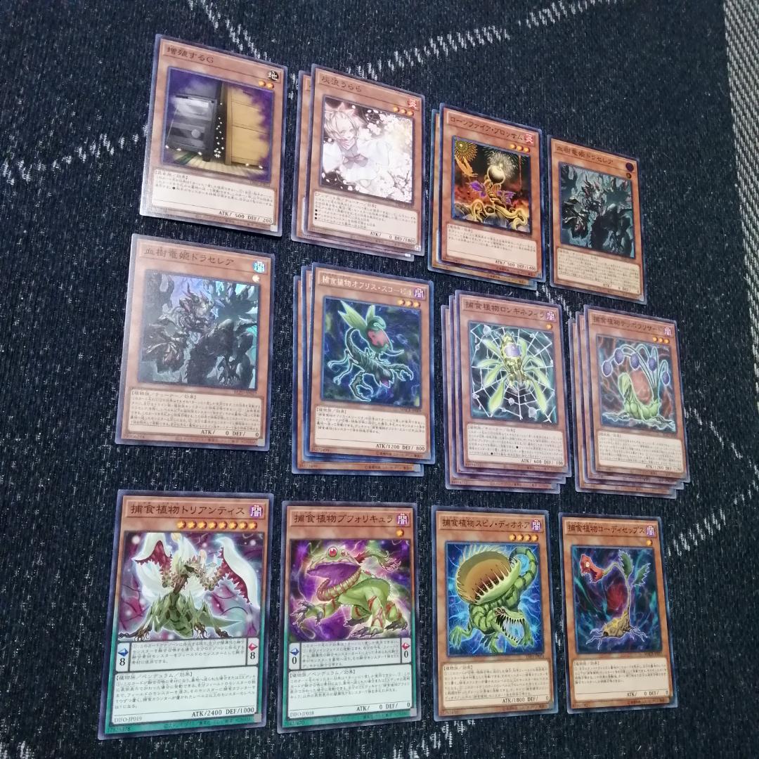 Yu-Gi-Oh Predator Plants Stardust Deck — Japanese