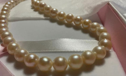 Akoya Pearl Necklace with one 9mm round pearl in slight champagne gold on silver chain with double lock