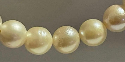 Akoya Pearl Necklace with one 9mm round pearl in slight champagne gold on silver chain with double lock