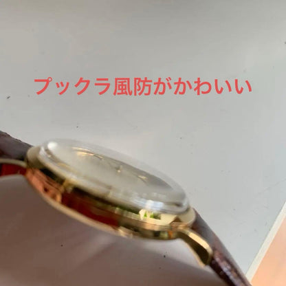 ORIENT Jupiter Revived Collection 200 Limited Automatic Men's Watch — Japanese