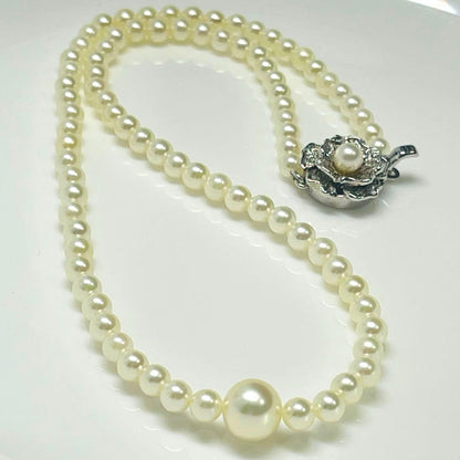 Akoya genuine pearl necklace 39cm with 8mm round blue-green pearls and silver fittings
