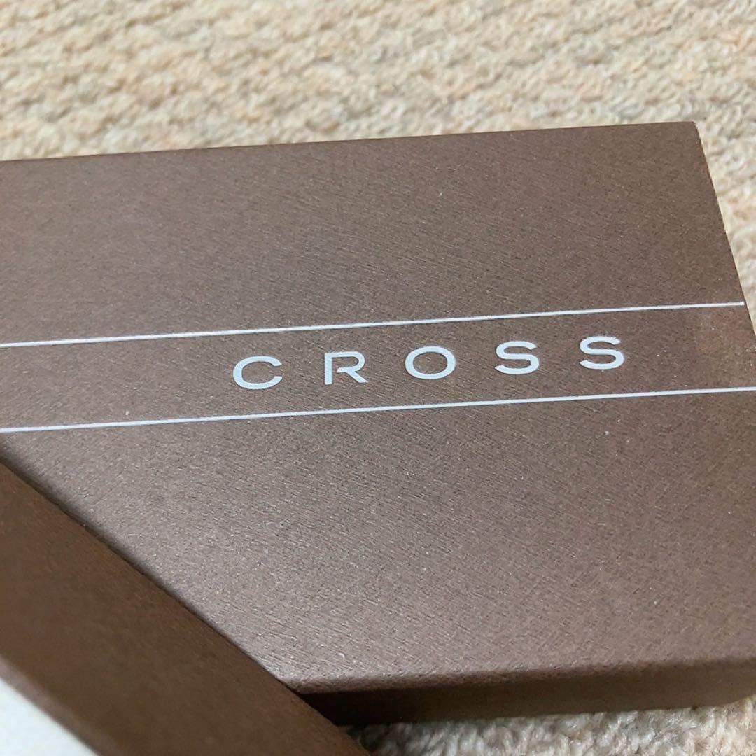 Silver CROSS ballpoint pen with a dedicated protective case on a white background