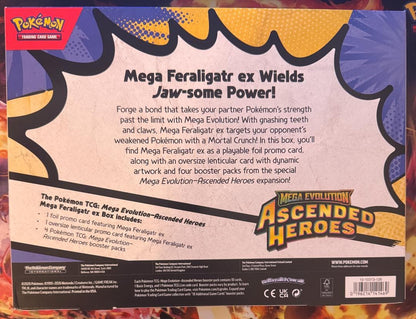 Pokemon Mega Feraligatr ex Box — English