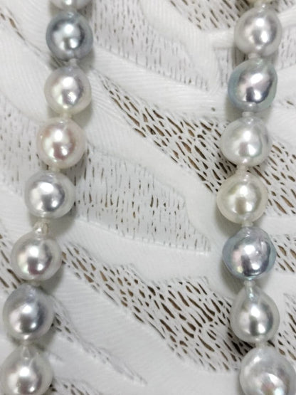 Akoya pearl large round necklace with multi-color pearls and silver push clasp on white background