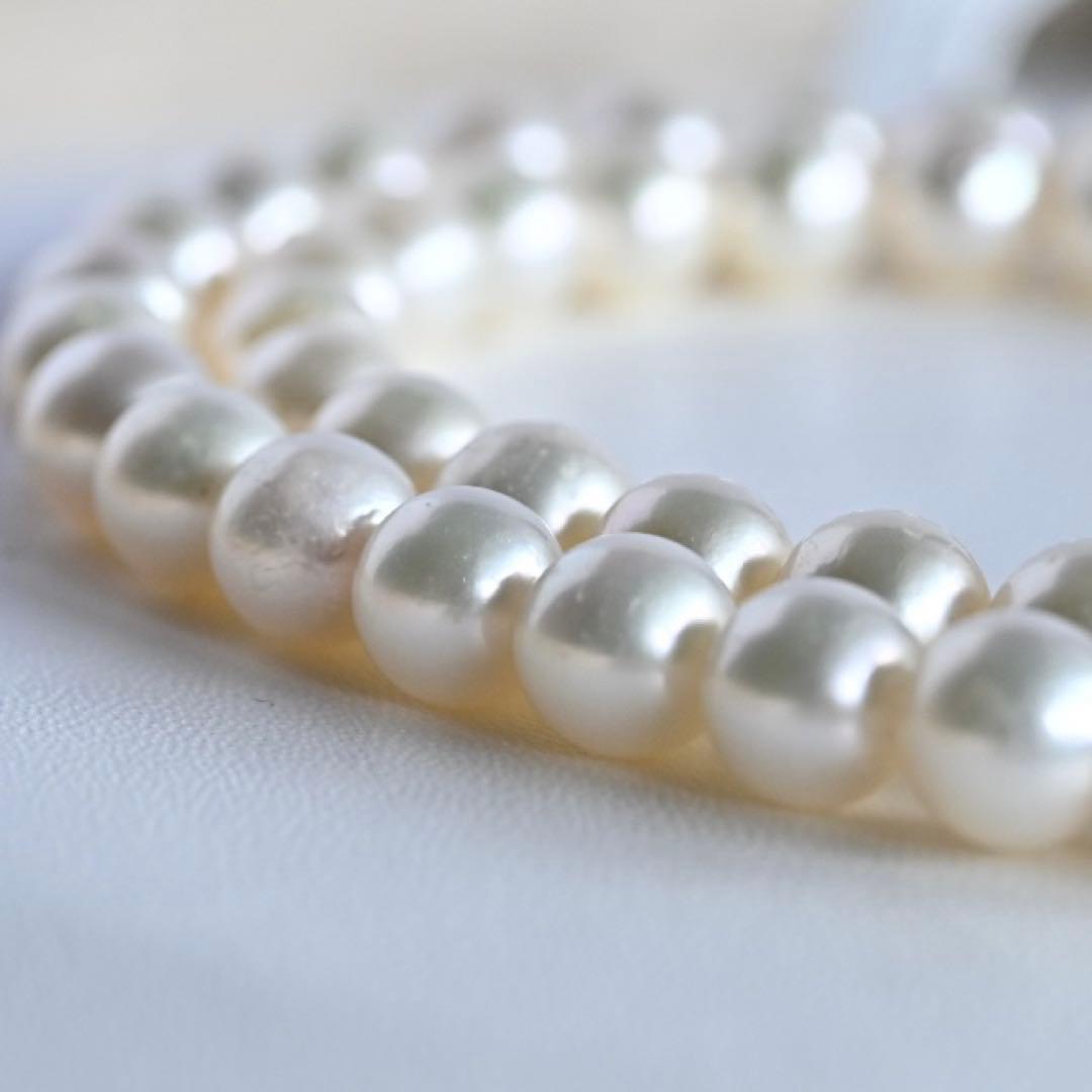 Takase Akoya pearl necklace with 7.5mm round pearls and silver ribbon clasp on a white background