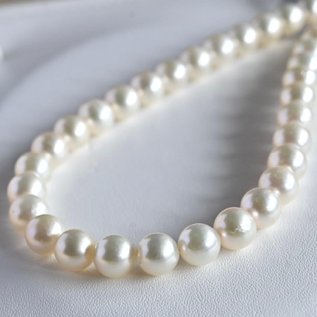 Takase Akoya pearl necklace with 7.5mm round pearls and silver ribbon clasp on a white background