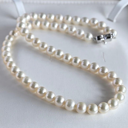 Takase Akoya pearl necklace with 7.5mm round pearls and silver ribbon clasp on a white background