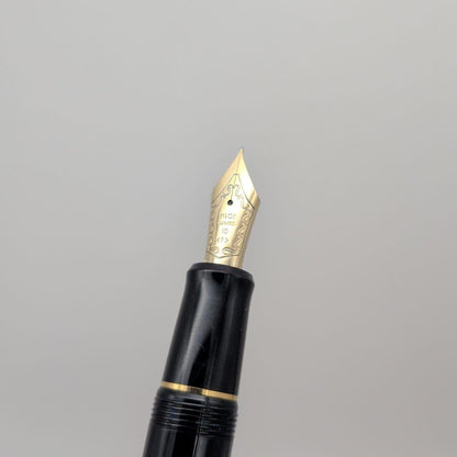 Close-up of PILOT Pen Custom 742 fountain pen measuring 14.5 cm with silver accents
