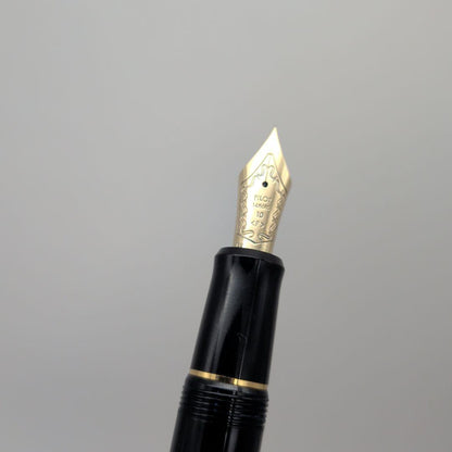 Close-up of PILOT Pen Custom 742 fountain pen measuring 14.5 cm with silver accents