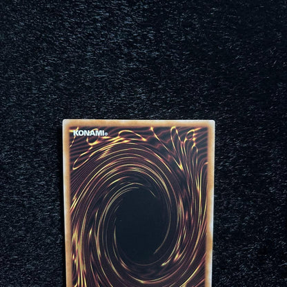 Yu-Gi-Oh Red-Eyes Black Dragon 25th Quarter Century Secret — Japanese