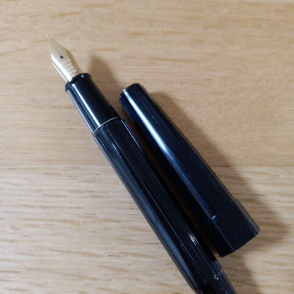 Pilot DPP-100-B black fine point fountain pen desk pen in new unused condition