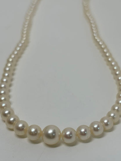 Mikimoto pearl necklace approximately 42.2 cm (16.6 inches) long with lustrous white pearls