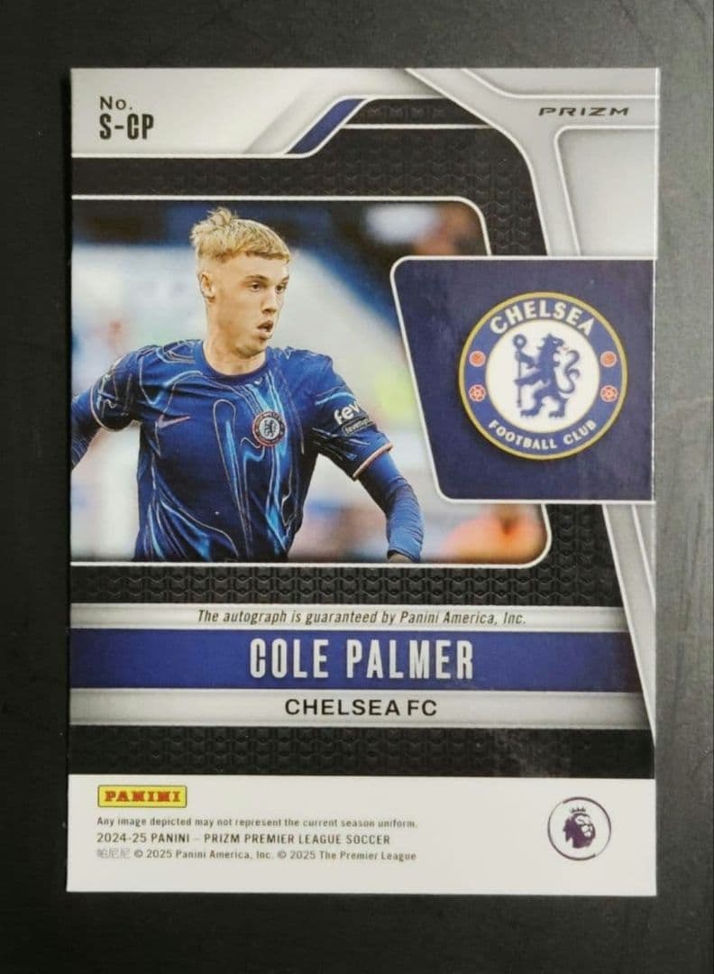 Call Palmer Autographed Parallel PANINI — Japanese