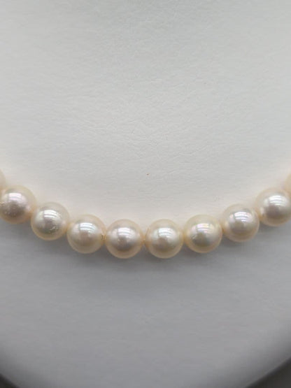 Akoya genuine pearl necklace featuring 7mm white pearls and silver clasp, 41.5cm length
