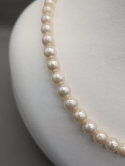 Akoya genuine pearl necklace featuring 7mm white pearls and silver clasp, 41.5cm length