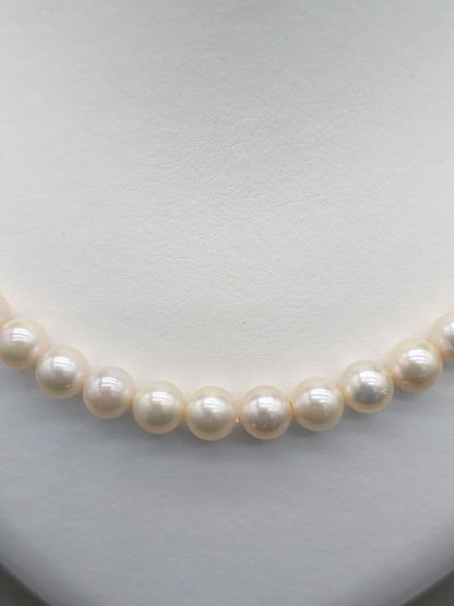 Akoya genuine pearl necklace featuring 7mm white pearls and silver clasp, 41.5cm length
