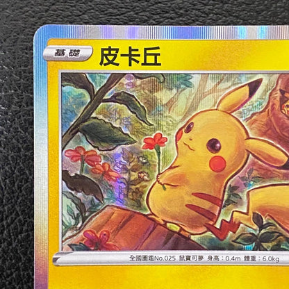 未鑑定 Pokemon Pikachu PROMO — Chinese