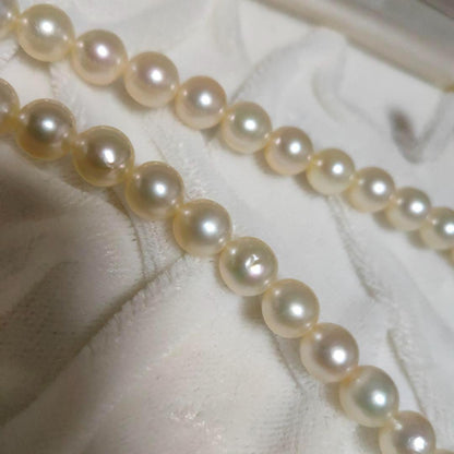 White Akoya pearl necklace with 6.8mm pearls on a 44cm silver chain