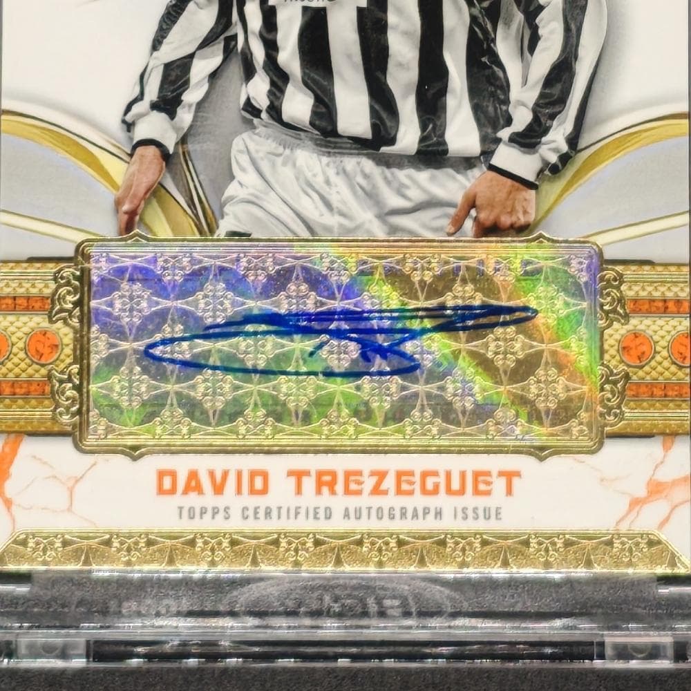 David Trezeguet Juventus — Japanese